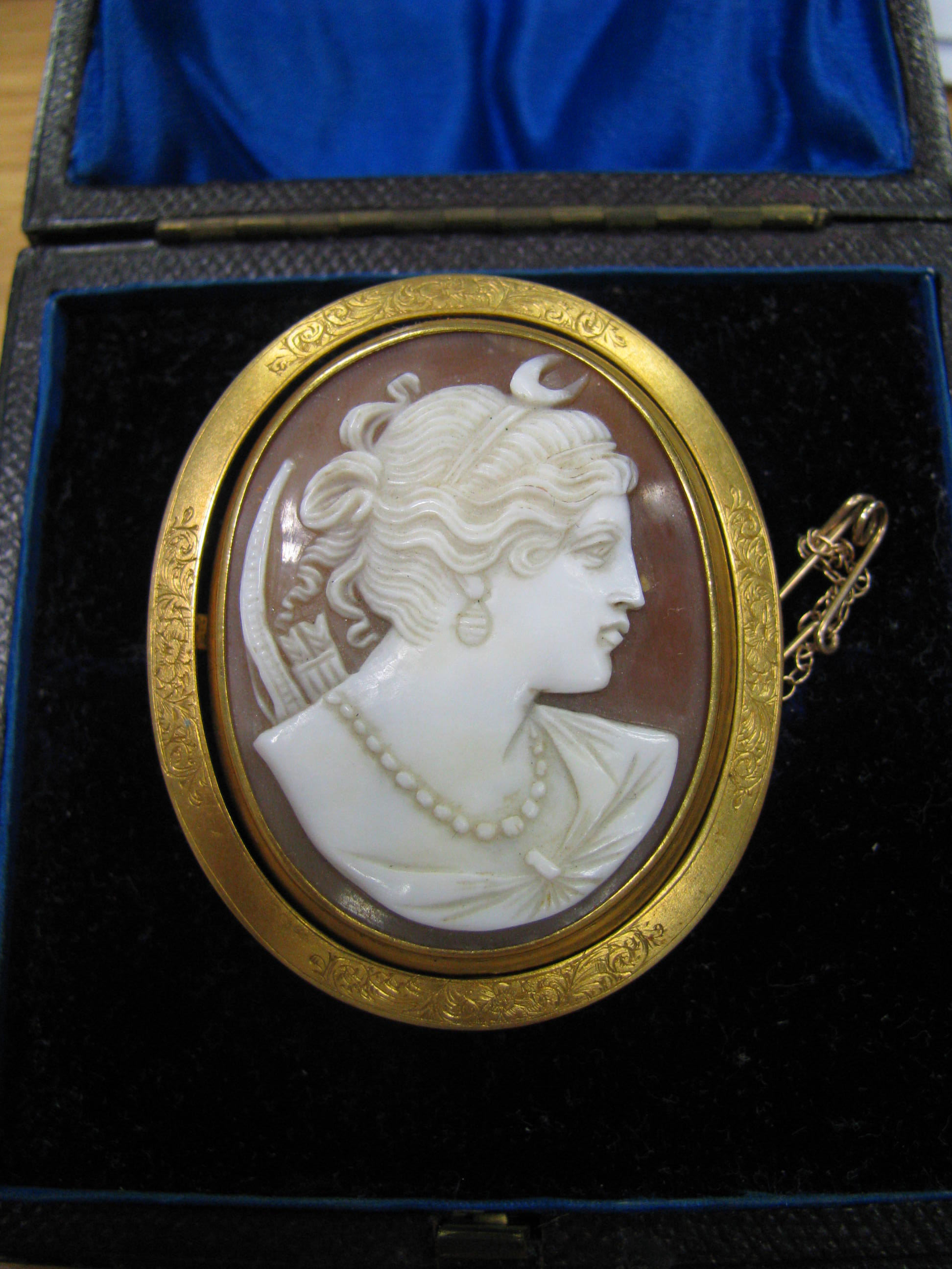 Diana Forsyth Family Brooch - Artemis Cameo mid 19th Century with Hairwork