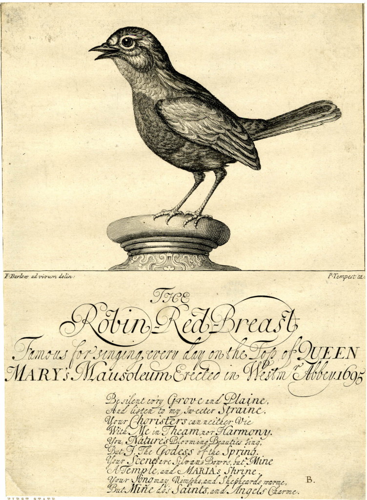 This is the original form of publication of this plate, as a sort of broadside issued at the funeral of Queen Mary, where the singing robin achieved widespread attention. The plate was later cut down and recycled in Tempest's series of birds after Barlow