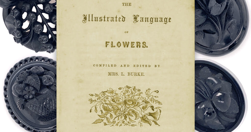The Illustrated Language of Flowers, Mrs L. Burke, 1856.